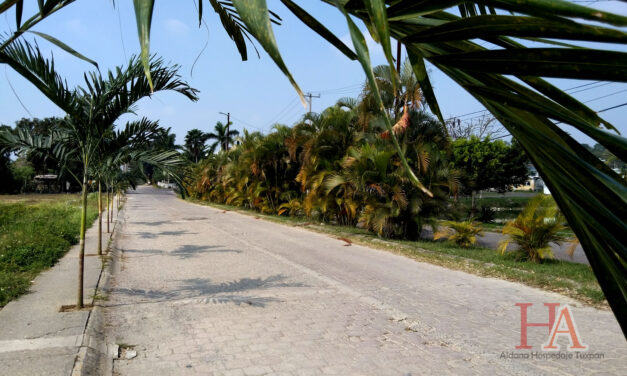 Hospedaje Aldana – Casa LA VISTA zona verde
