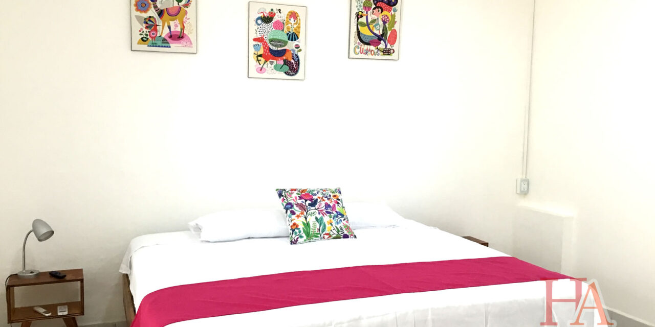 Hospedaje Aldana Apartamento AURA Centro Histórico