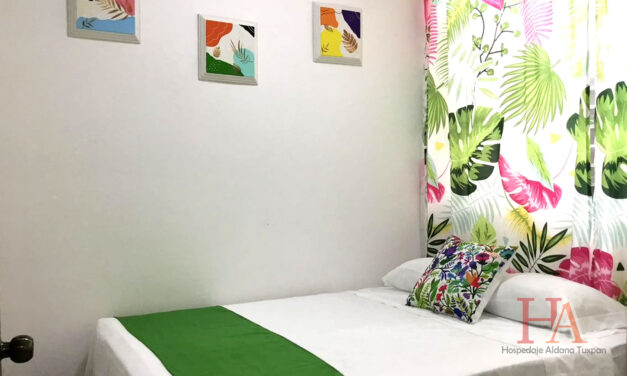 Hospedaje Aldana Apartamento AURA Centro Histórico